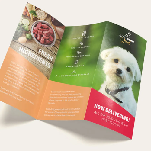 Brochures Packaging Wholesale.webp