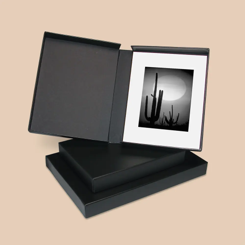 Portfolio Boxes.webp