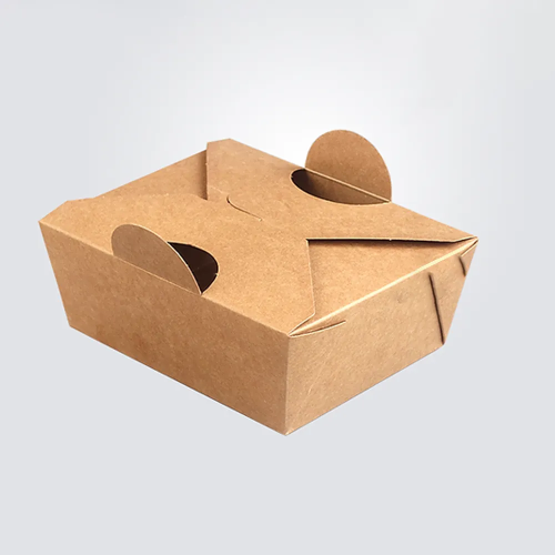 Disposable Kraft Paper Packaging Boxes