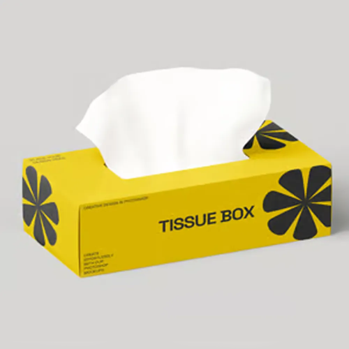 Printed Tissue Packaging.webp